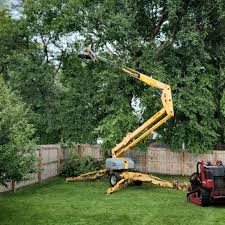 Best Utility Line Clearance  in Jemez Pueblo, NM