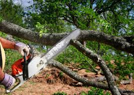 Lawn Irrigation Installation and Maintenance in Jemez Pueblo, NM